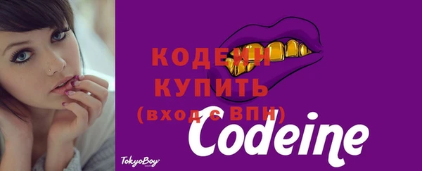 крисы Куйбышев