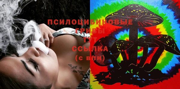 PSILOCYBIN Кукмор