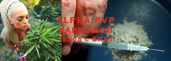 PSILOCYBIN Кукмор